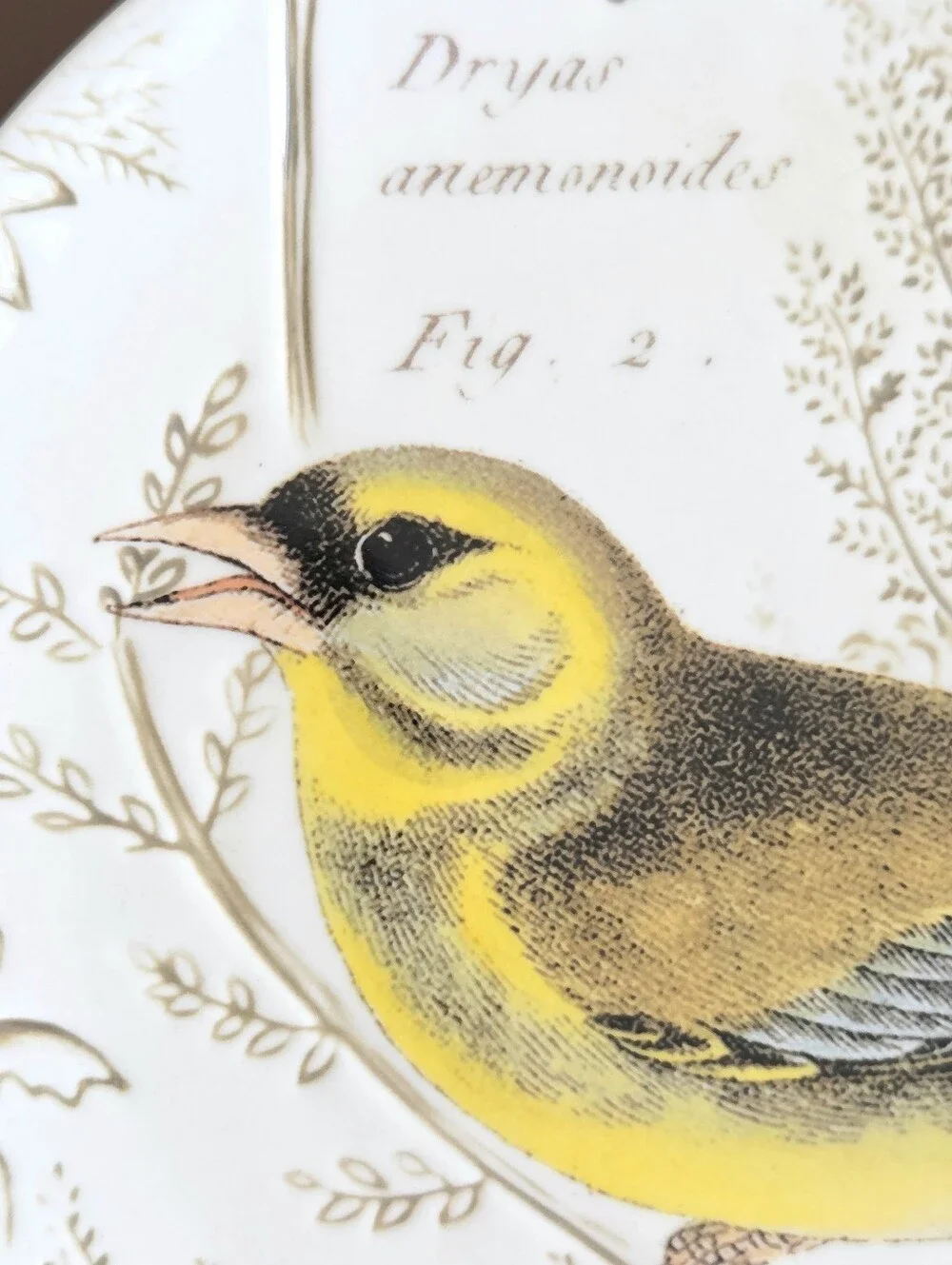 Pottery Barn Yellow Bird Botanical Salad Plate Stoneware Discontinued Vintage